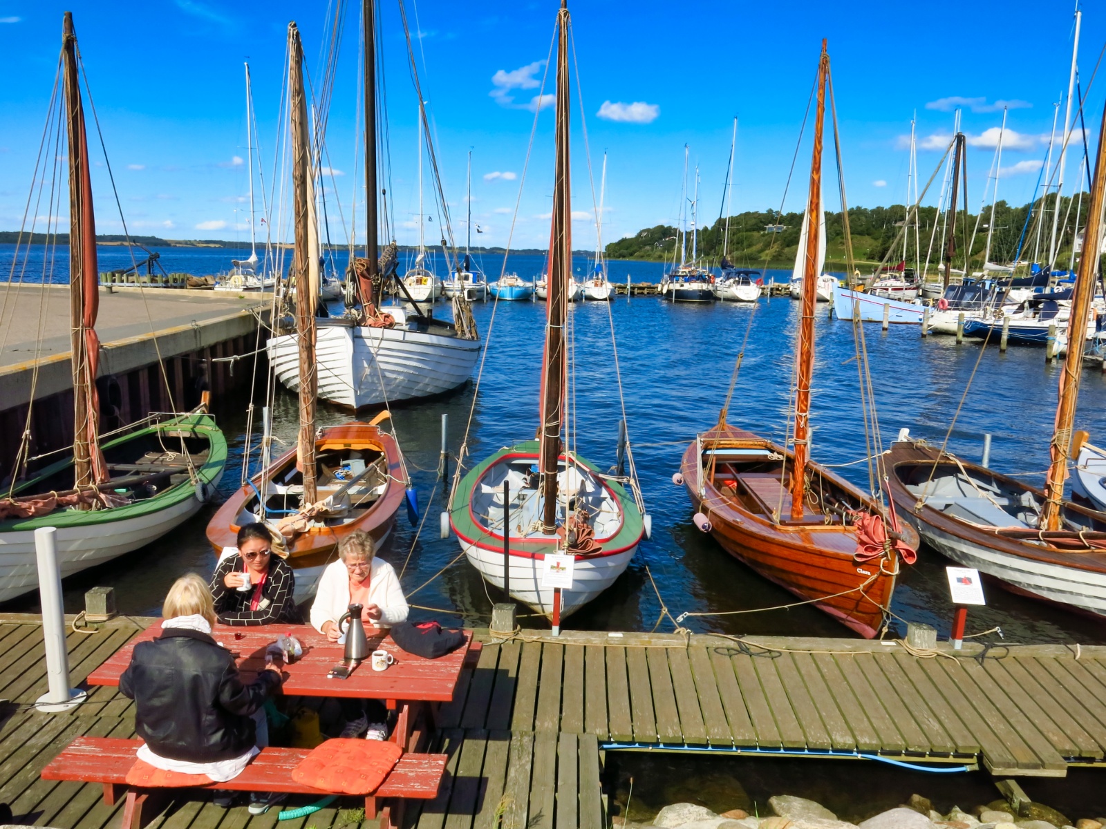 Hjarbæk havn